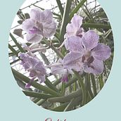 Botanical. Artes plásticas projeto de Irene Monreal Gancedo - 08.01.2016