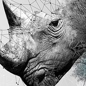 MACN - Museo Argentino de Ciencias Naturales. Br, ing, Identit, Web Development, Art Direction, Design, Editorial Design, and Graphic Design project by Carla Llinas - 01.25.2016