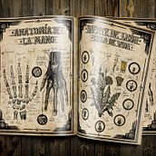 Ilustración científica 2. Fine Arts, Design, Traditional illustration, T, and pograph project by Julia López de Juan Abad - 01.27.2016