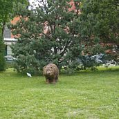 Naturaleza y paisaje . % Cristina Gómez Villacampa tarafından hazırlanan Güzel sanatlar projesi - 01.31.2016
