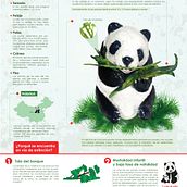 El oso panda o panda gigante Ein Projekt aus dem Bereich Grafikdesign von Lizeth Nohelia Avendaño - 04.02.2016