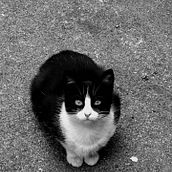 El arca de Noé Ein Projekt aus dem Bereich Fotografie von Kat - 31.12.2014