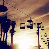 Fly . Fotografie de Bibiana Cortez - 03.01.2016