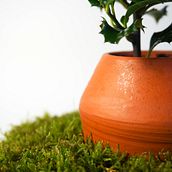 Simbiosis. Un progetto di Product design di Pepe Sanmartín - 08.03.2016