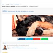 Portal web de veterinaria en el que ha sido un placer participar. No he hecho un prodigio (ni mucho menos) de diseño, pero es que el estilo wiki no da para más. http://www.infovet.es. Web Development, and Web Design project by Nacho Diez-Quijada Argaya - 02.19.2016