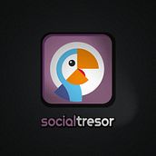 SOCIAL TRESOR CORPORATE GUIDELINES. Un proyecto de Br e ing e Identidad de Enrique Antequera - 14.03.2016