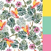 GUANUMBY: Es una gama de productos cosméticos & aromaterapia basada en colores, sabores e intensos olores de Paraguay. Deseo que os guste, lo he hecho con mucha ilusión y me he divertido muchísimo :D! . Un projet de Design , Conception de produits , et Design graphique de Raquel Martínez - 20.03.2016