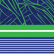 diseño de print para bañador. Un proyecto de Diseño gráfico de Daniela Sanchez Melendez - 27.03.2016