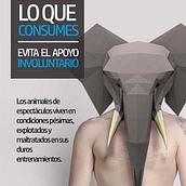 Apoyo Involuntario. Un progetto di 3D, Collage, Design, Graphic design e Fotografia di Almudena Arroyo - 15.02.2016
