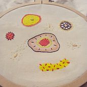 Células Parenquimáticas: bordado + pintura. Traditional illustration, Fine Arts, Design, and Painting project by Inés Calveiro - 04.02.2016