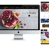 Diseño página web. Un proyecto de Desarrollo Web de Araceli Agudo García - 04.04.2016
