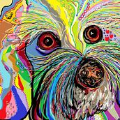 pop art. Design projeto de juliaancoito12 - 07.04.2016