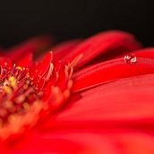 Gotas de Agua.. Projekt z dziedziny Fotografia użytkownika Juan Carlos Torres - 10.04.2016