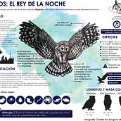 Mi Proyecto del curso: Crea una infografía que hará historia Ein Projekt aus dem Bereich Design, Grafikdesign und Infografik von danieladegregoriom - 19.04.2016