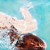 Head Under. Fine Arts, and Photograph project by the unknown artist studio oliver - 04.23.2015