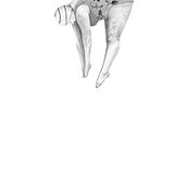 caer a cuatro patas . Fine Arts project by Natalia lopez de munain - 05.07.2016