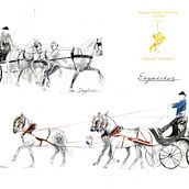 Arte ecuestre.Enganches. Ein Projekt aus dem Bereich Bildende Künste von Melanie Waidler - 17.05.2016