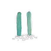 CACTUS PATTERN. Design, Accessor, Design, Graphic Design, and Traditional illustration project by Ines Carballido - 05.18.2016
