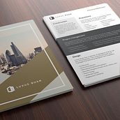 FLYERS FOR LUXUS BUAN. Web Design project by Isabel Saez Perez - 10.31.2015