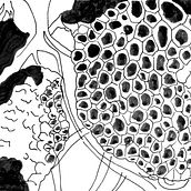 Fractal. Animation project by Jaume Ribalta Batalla - 05.29.2016