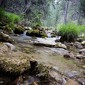 Paisaje. Projekt z dziedziny Fotografia użytkownika Carolina Garcia Marugan - 08.06.2016
