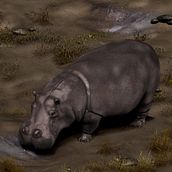 Pruebas 3D-Zbrush. 3D project by Cristina cbe - 12.13.2015