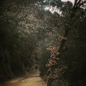 Naturalezas. Photograph project by Isabel Cid - 06.19.2016