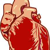 Corazón motion graphics . % Alicia Fernández Sánchez tarafından hazırlanan Animas, on, Film, Video ve TV, Ve Hareketli Grafikler projesi - 06.18.2015
