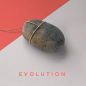 Evolution. Un progetto di Graphic design di Juan Carlos Nieto Rodríguez - 28.06.2016