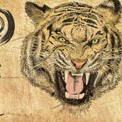 Torayama Ein Projekt aus dem Bereich Traditionelle Illustration von Edson Saavedra - 05.10.2016