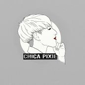 Chicapixie. Social Media, Br, ing, Identit, and Marketing project by Fernanda Rodriguez - 02.01.2016