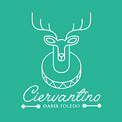 Logotipo Hostel Oasis Toledo . % Diego Camino Sanchez tarafından hazırlanan Markalaşma ve Kimlik projesi - 07.20.2016