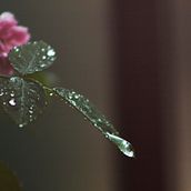 Rain. Un proyecto de Fotografía de Matias Exequiel - 24.07.2016