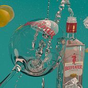 Beefeater Dubstep. Design, 3D, and 3D Animation project by Felipe Beneras Oramas - 07.31.2016