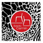 Solcito Carmín. Un proyecto de Diseño gráfico de Leda Wiesse - 31.07.2016