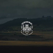 Peregrinas. Film, Film, Video, TV, Photograph, and Video project by Christian Villafranca Bahena - 06.05.2016