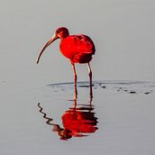 Disparando miradas. Fotografia projeto de Alba García Bernal - 05.08.2016