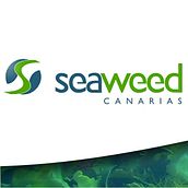 Website Seaweed Canarias. Un projet de Webdesign , et Marketing de Gabriel Guerrero Espino - 05.09.2008