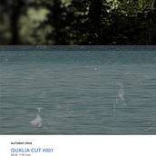 Qualia Cut #001. Film, Film, Video, TV, Art Direction, Multimedia, Music, Photograph, Post-production, and Video project by Alfonso Cruz - 08.09.2016