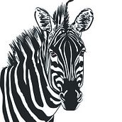 cebra illustrator. Een project van  Ontwerp van Estela Calero Varszafski - 10.08.2016