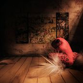 La ley de Benedetti; Rana roja venenosa.. Fine Arts, Set Design, Sculpture, and Photograph project by Juan José Rojas - 08.15.2016