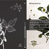 Maquetación Portada y Contraportada (Tesis Doctorales). Graphic Design project by GUSTAVO HIDALGO FERNANDEZ - 08.16.2014