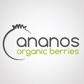 Diseño de Logo_Ananos. Un progetto di Br, ing, Br, identit, Graphic design e Naming di Laura Alabau Rodríguez - 17.08.2016