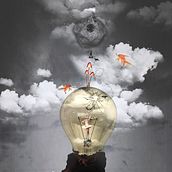 Transparencia  . % Ninozka Mancilla tarafından hazırlanan Kolaj, Tasarım, Ve Fotoğrafçılık projesi - 08.18.2016