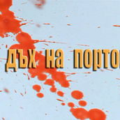 PRODUCCIÓN SERIE PILOTO BÚLGARA EN ESPAÑA "CON SABOR A NARANJAS". TV projeto de Arturo Rayón Díaz - 19.07.2016
