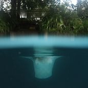 ---WATER BODYS--- Ein Projekt aus dem Bereich H, werk, Design und Fotografie von María Carolina Rueda - 30.08.2016