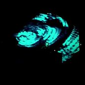 Live 2016 . Fine Arts, Events, Music, and Video project by Marc Tràfak - 09.01.2016