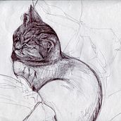 Dibujo a bolígrafo. Un proyecto de Ilustración tradicional de Au Be - 13.09.2016