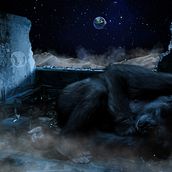 Resignacion. Un progetto di Graphic design di Facu Carrivale - 18.09.2016