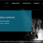 Gaticos Zgz. Un proyecto de Desarrollo Web y Diseño Web de JARA AINOZA FARLED - 27.09.2016